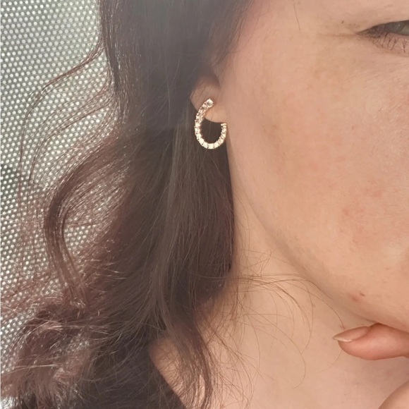Rose Gold Plated Full Zirconia Half Open Curve Earrings - Picture 3 of 7